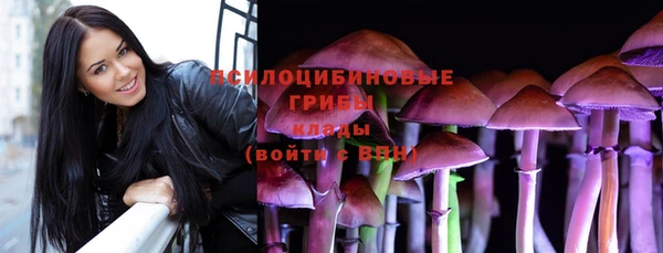 МДМА Бородино