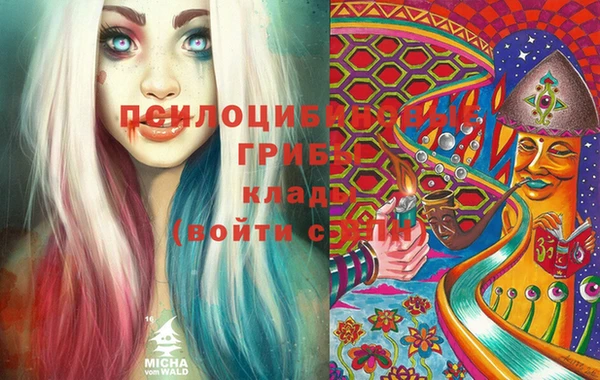 МДМА Бородино