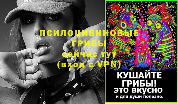 прущий лед Бронницы